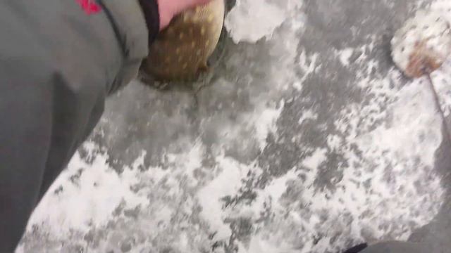 Зимняя рыбалка. Fishing смотреть онлайн