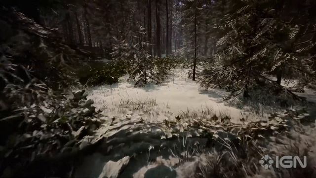 7 ИНТЕРЕСНЫХ ВЕЩЕЙ В SONS OF THE FOREST