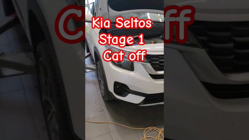 Чип тюнинг Kia Seltos Stage 1 Cat Off E2