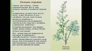 Правильная тройчатка. Как приготовить на дому тройчатку? Выгоняем паразитов . Укрепляем иммунитет.