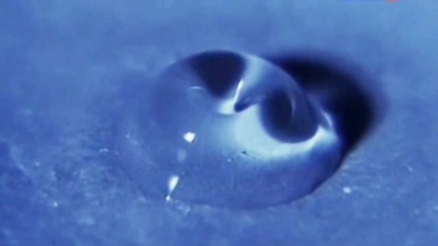 Вода и вибрации. смотреть онлайн