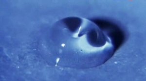 Вода и вибрации.