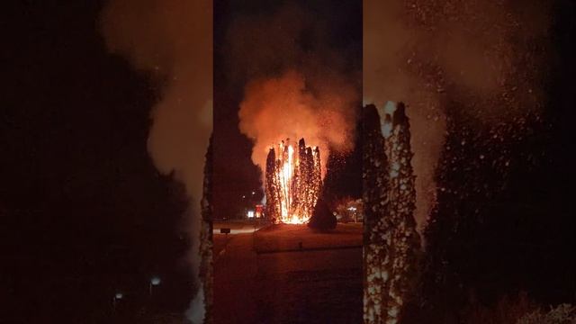 Tree Fire near CS Porter - 2 смотреть онлайн