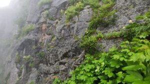 Водопад Снежный барс на Камчатке