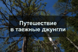 «Путешествие в таежные джунгли»