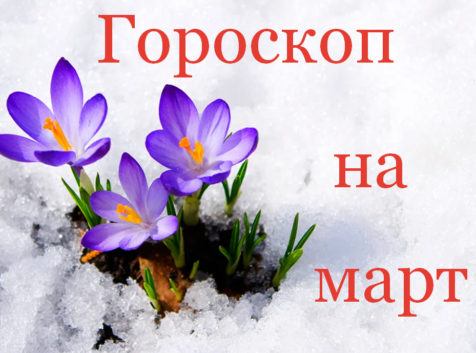 #Аврора #гадание Скорпионы на март 2023