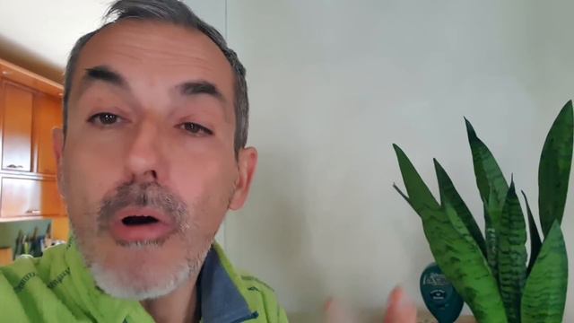 Qual è la LA PIANTA GIUSTA PER I POLLICI NERI? смотреть онлайн