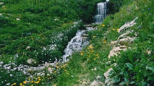 Звуки природы. Горный водопад среди цветов. Шум воды для релаксации, сна и отдыха 2 часа. смотреть онлайн