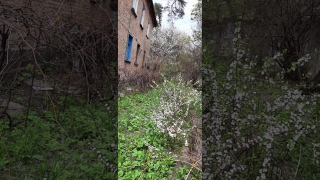 the city of Gorskoe, whose house does not exist!!!! Lugansk region смотреть онлайн