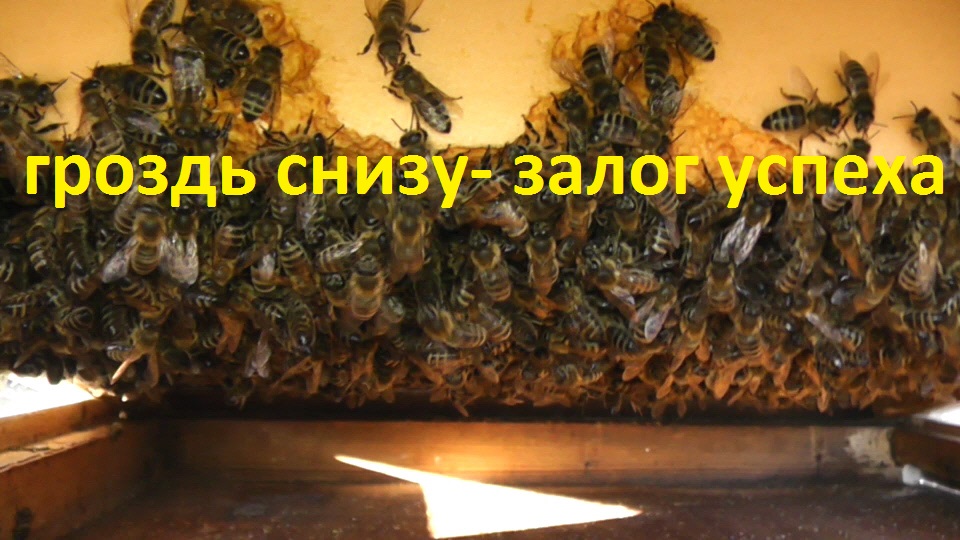 так ужимать семьи мне нравится смотреть онлайн