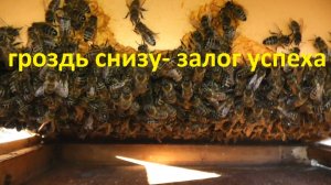 так ужимать семьи мне нравится