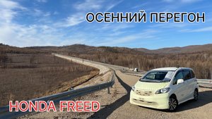 Осенний перегон HONDA FREED