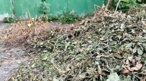 Чем поливать овощи если нет воды