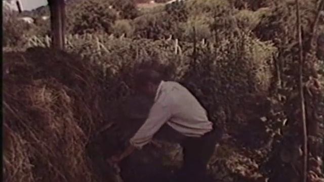 Văleu, Văleu nu Turna!! full (tot filmul) смотреть онлайн