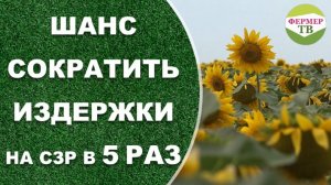 ШАНС сократить издержки на СЗР в 5 раз