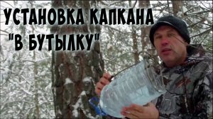 На куницу с капканами | Установка капкана в бутылку | Trap marten in the bottle