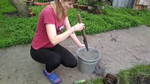 Подкормка туи