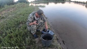 Ловим Сазана на макушатник и фидер.