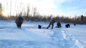 Зимняя Рыбалка На Севере. Вот Она Рыба Моей Мечты!