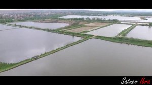 Кулары Пруды