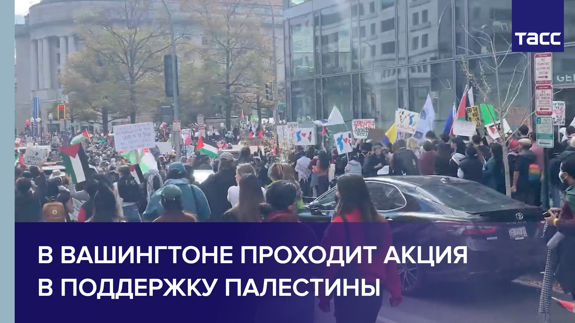 протестные телеграмм каналы