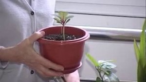 Ремонт, новое оборудование и борьба с очередью: обновление областной стоматологической службы. Свет,