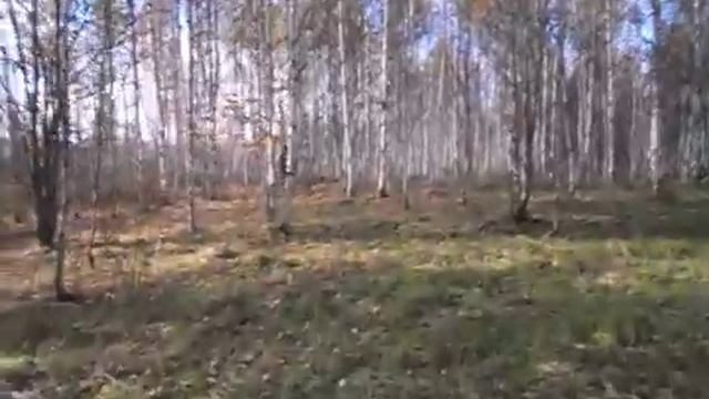 Найти клюкву 2. смотреть онлайн