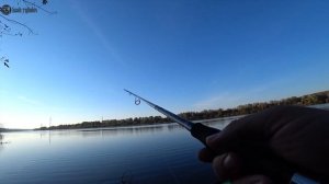 Ловля ЩУКИ на Оке осенью. Рыбалка на спиннинг с берега. Ловля щуки на джиг в Подмосковье.