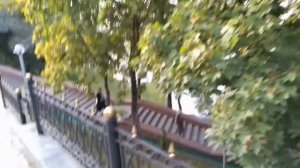Пряжа/процесс в технике Пулинг/прогулка