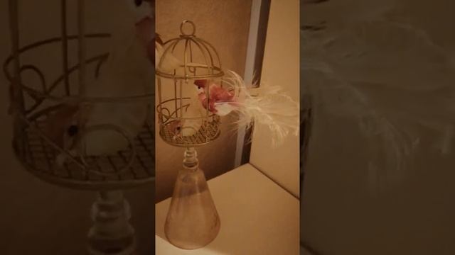 Поделка детей,"Птички в клетке". смотреть онлайн