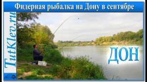 Рыбалка на Дону в сентябре. Ловим чехонь на фидер.mp4