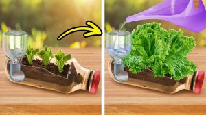 Умные советы и ремесла для процветающего сада и уютного заднего двора