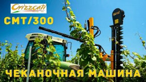 Чеканочная машина ORIZZONTI CMT/300 (Италия)