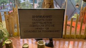 25 декабря 2020 г. Сочи. Парк Ривьера. В Зоопарке Рио!!!