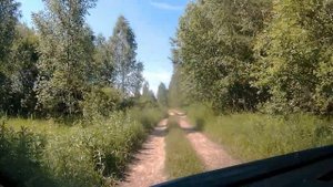 ЗАБРОШЕННАЯ ДАЧА МАЛАЯ РОДИНА