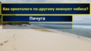 Интересные вопросы на эрудицию и кругозор с ответами #100 /Тест на общие знания /Тест на эрудицию