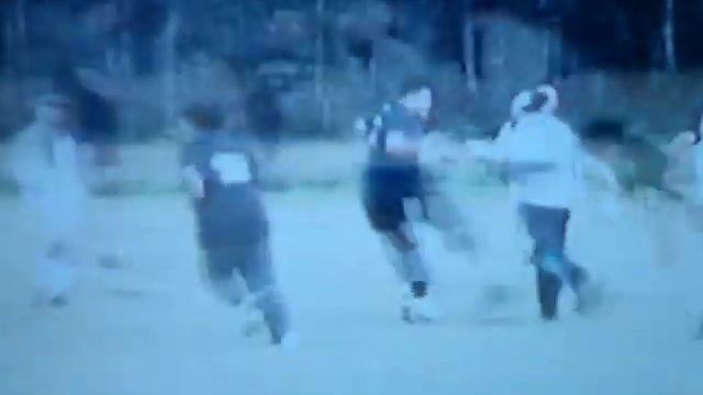 freezin vs kiwi ferns