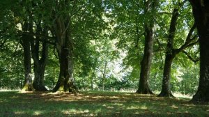 14 ПРИЗНАКОВ ТОГО, ЧТО О ВАС КТО ТО ПОСТОЯННО ДУМАЕТ
