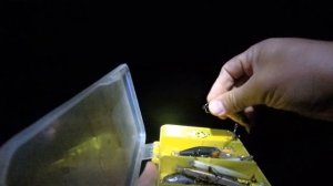 Голавль. Ночной клёв!