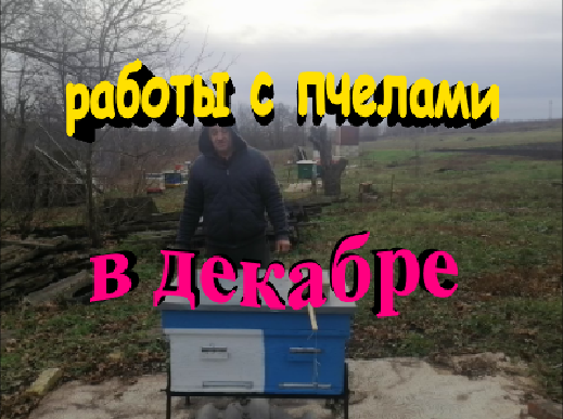 Что еще можно сделать с пчелами в декабре смотреть онлайн