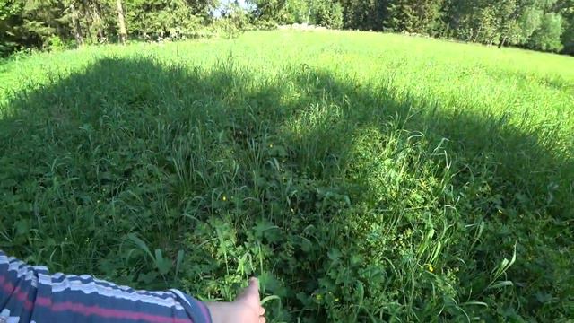 Лес. Жара. 12 июня 2021 продолжение смотреть онлайн