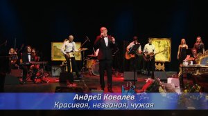 Андрей Ковалев - Красивая, незванная, чужая (Романс - моя любовь)