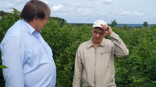Отзыв фермера Агропарка "Долина Мечты"