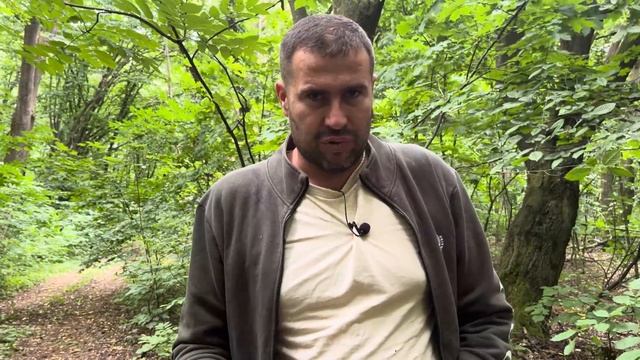 Как найти липу, сколько меда выделяет одна липа