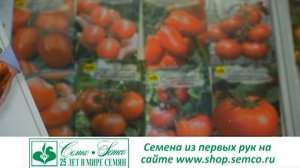 Универсальные гибриды перца сладкого с отличным вкусом плодов