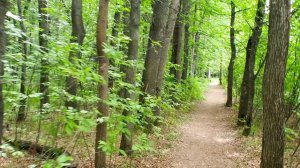 Тропа здоровья, Уфа,  Биатлонный комплекс, пляж река Белая, иду вдоль берега, лето 2023