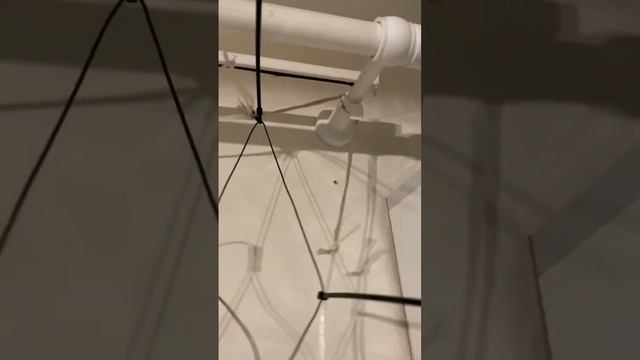 Как закрепить гирлянду за 5 минут смотреть онлайн