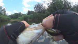 Голавлиная рыбалка на спиннинг на Чусовой