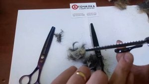 На видео тестируем ножницы (грумерские) шанкеры после заточки, доводки и микронасечки!
