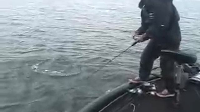 DC 400 Cascabel смотреть онлайн